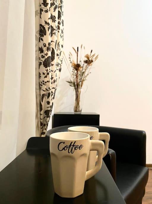 Harmony Homes- Piata Unirii Central Apartament Timisoara Bagian luar foto