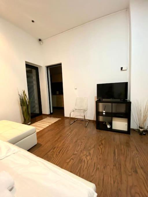 Harmony Homes- Piata Unirii Central Apartament Timisoara Bagian luar foto