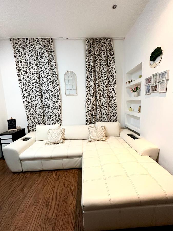 Harmony Homes- Piata Unirii Central Apartament Timisoara Bagian luar foto