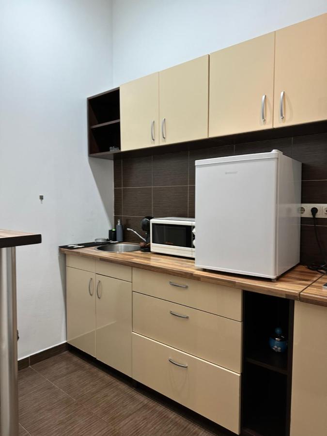 Harmony Homes- Piata Unirii Central Apartament Timisoara Bagian luar foto